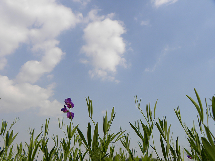 DSCN2579.jpg