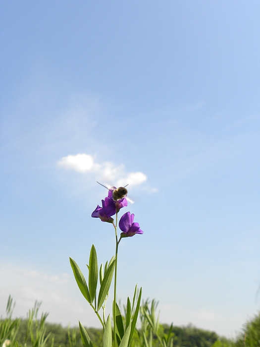 DSCN2493.jpg