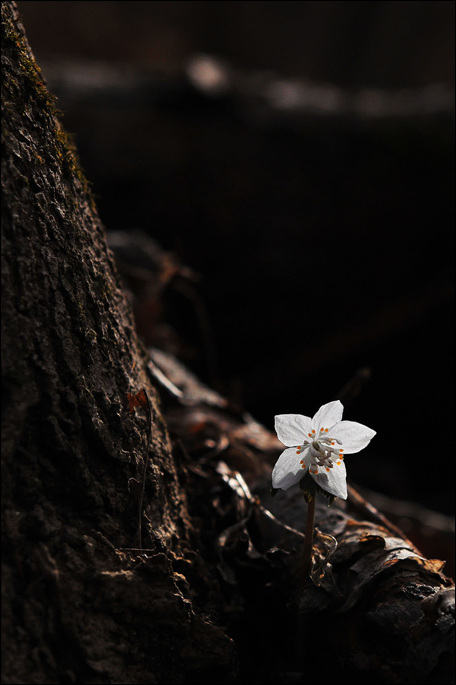 n-DSC_7302-1.jpg
