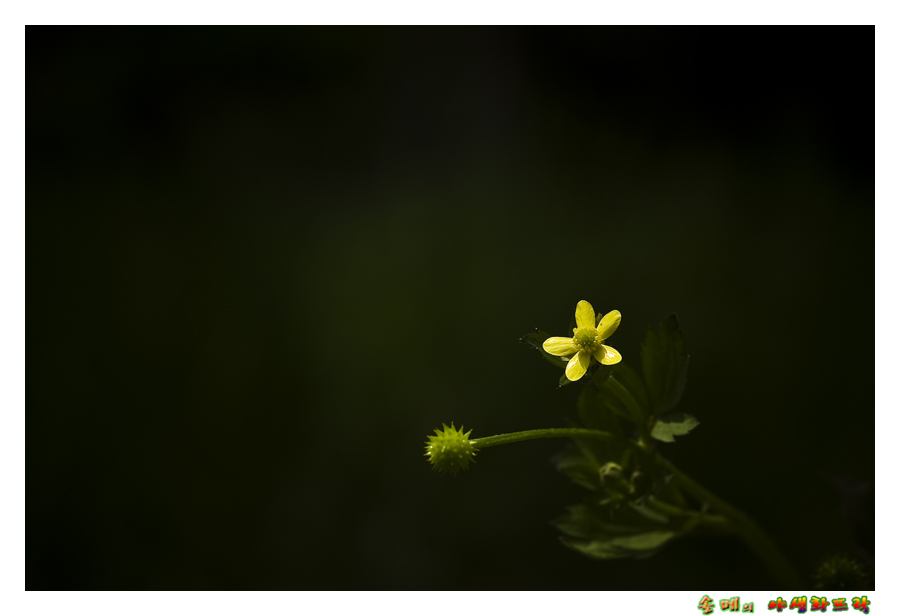DSC_2621-1.jpg