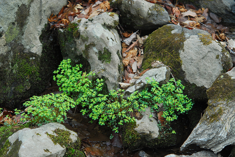 1-DSC_4673.jpg