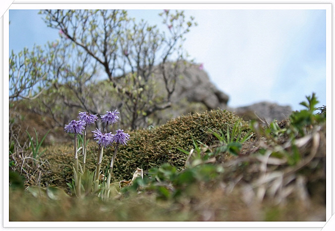 DSCF7164.JPG