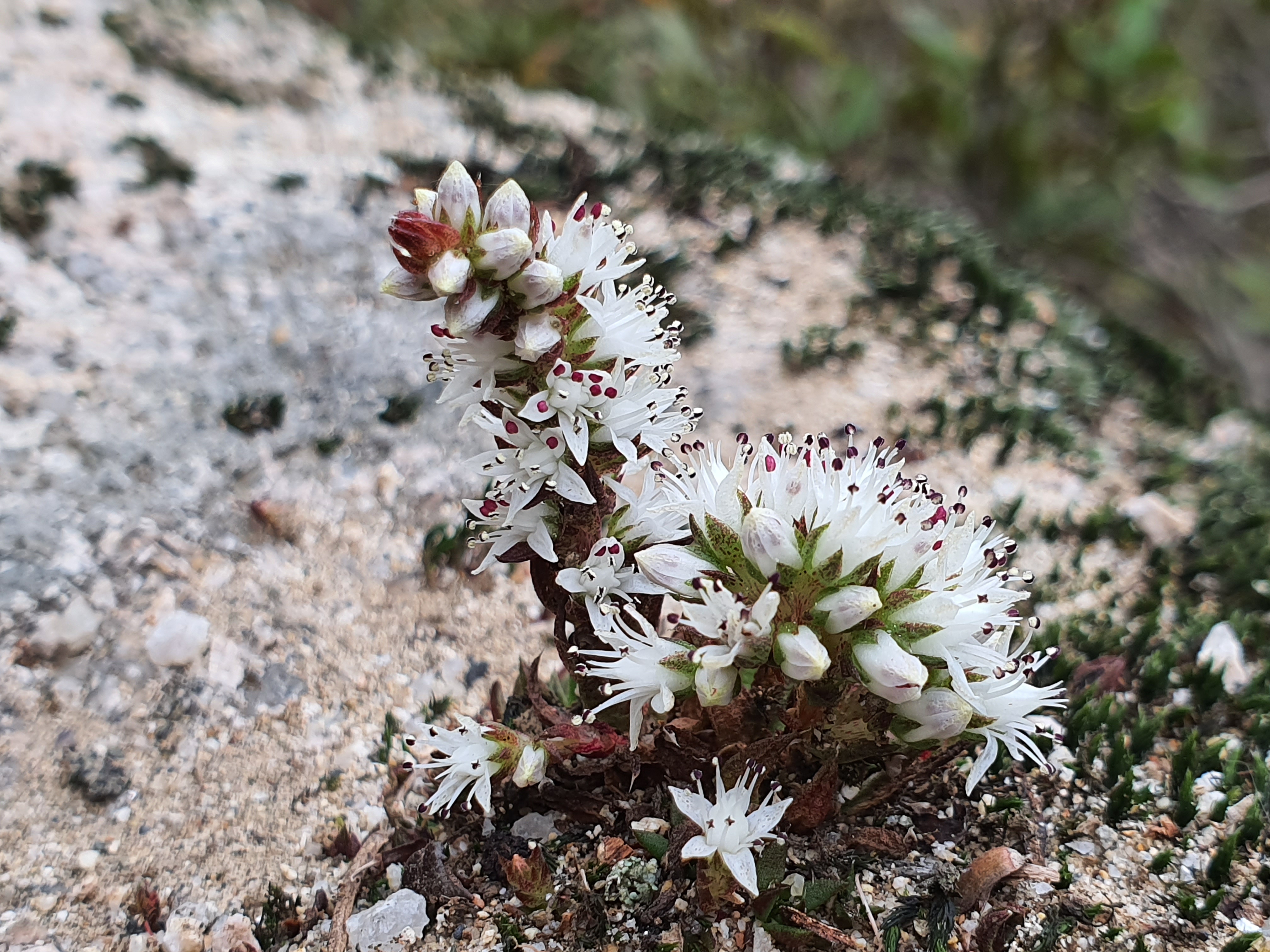 20191002_085919.jpg