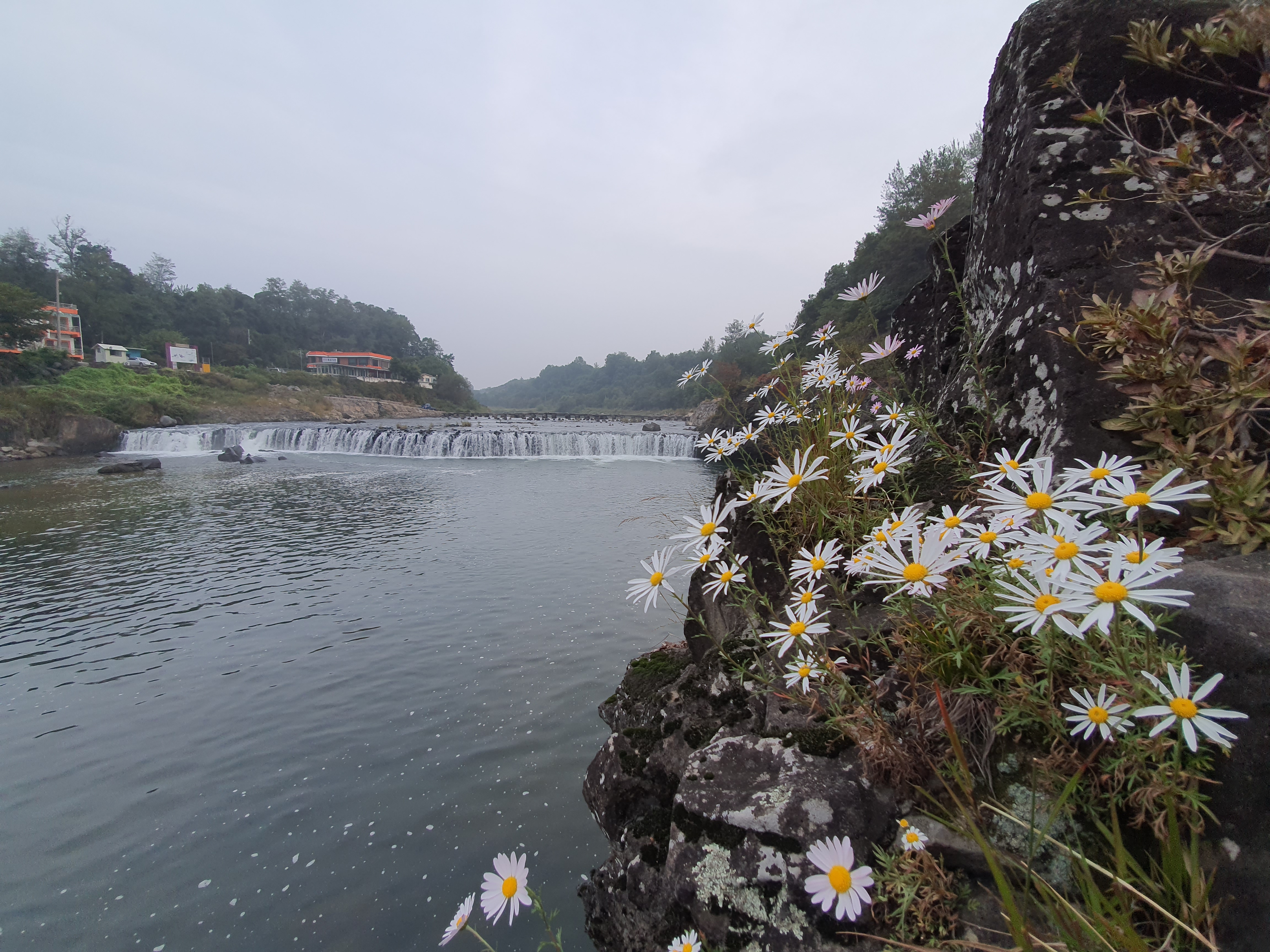 20191002_064400.jpg