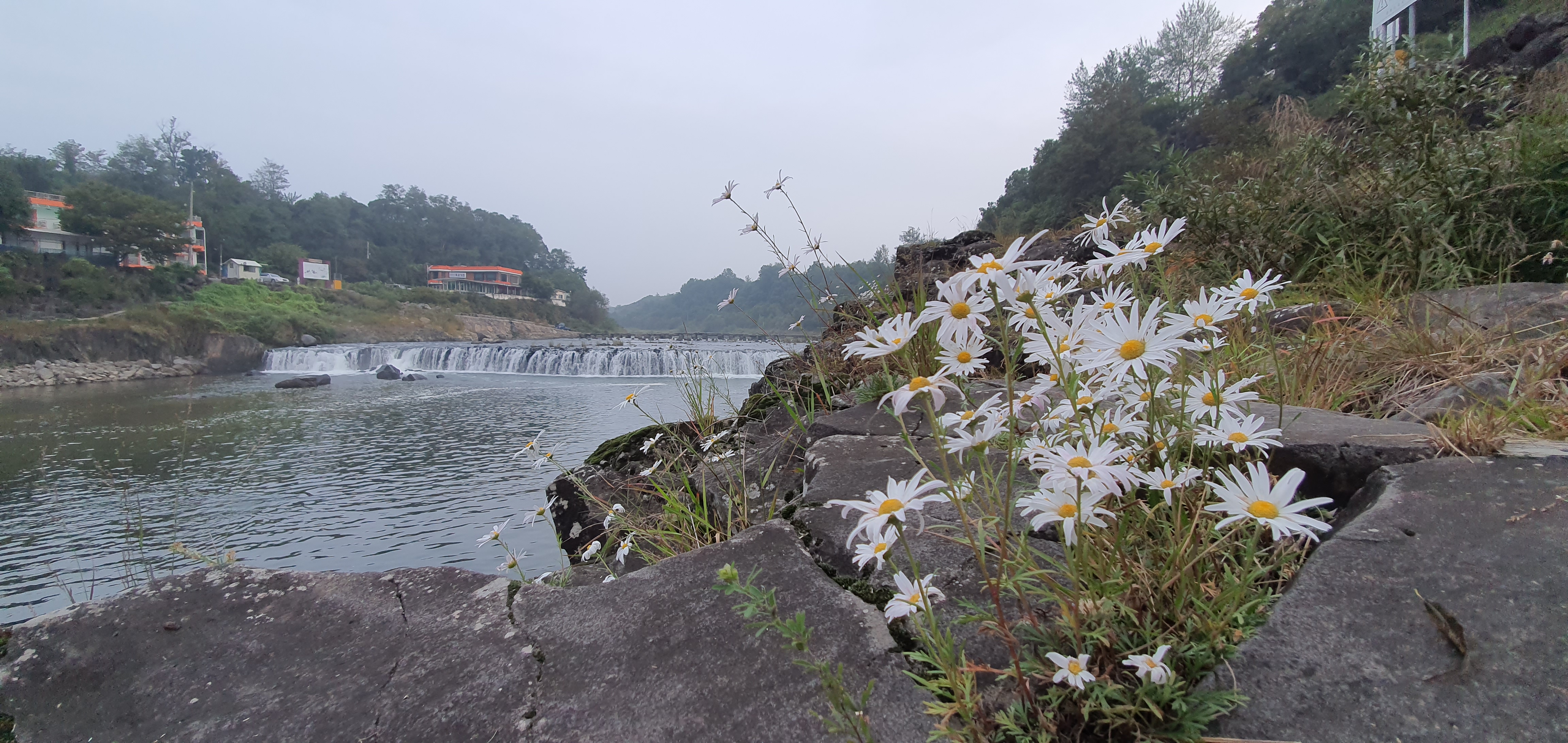 20191002_064010.jpg