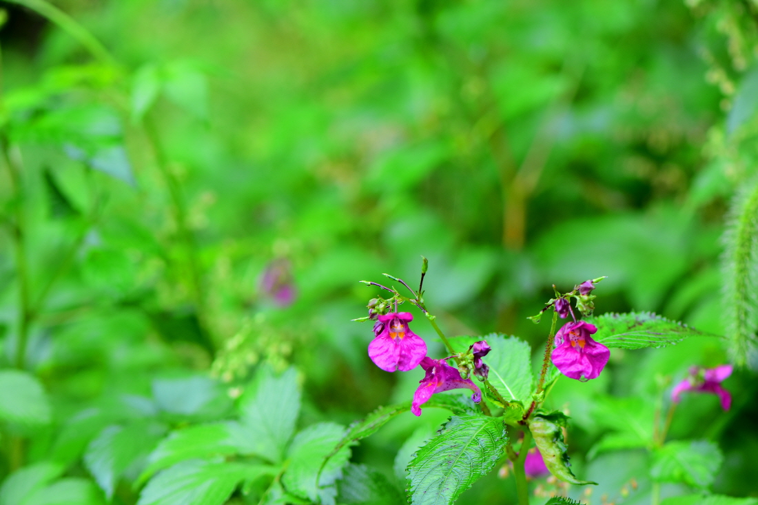 DSC_6380.JPG