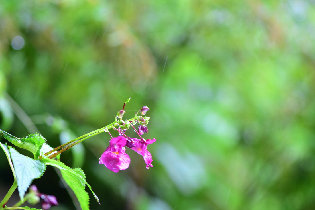 DSC_6393.JPG