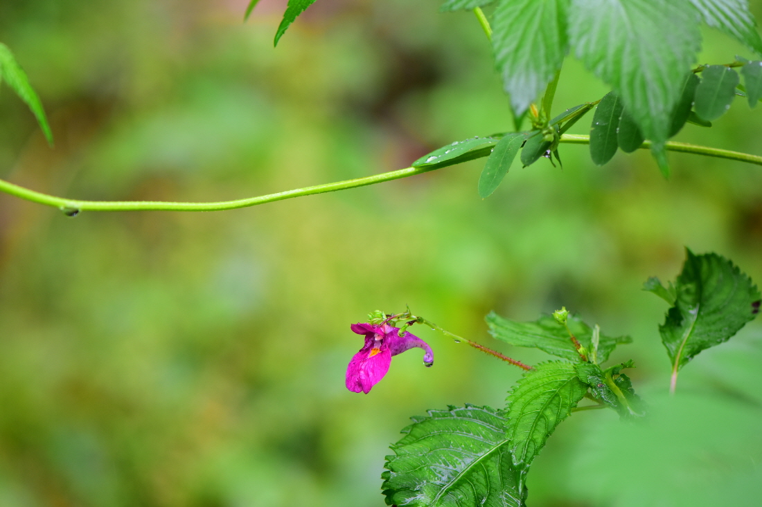 DSC_6405.JPG