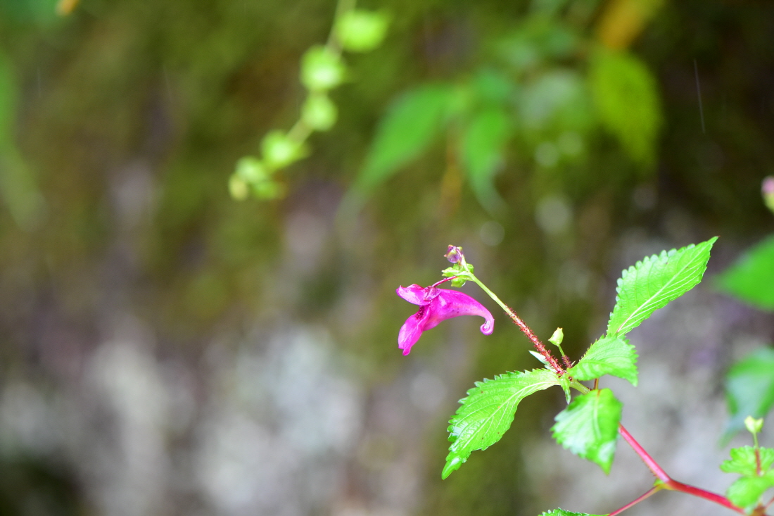 DSC_6401.JPG
