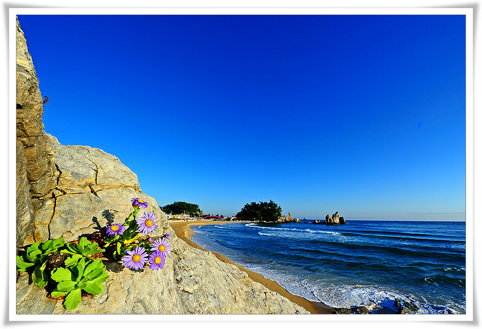 DSC_4996-1.jpg