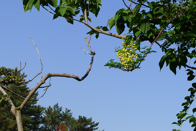 20130513-L1060630.jpg
