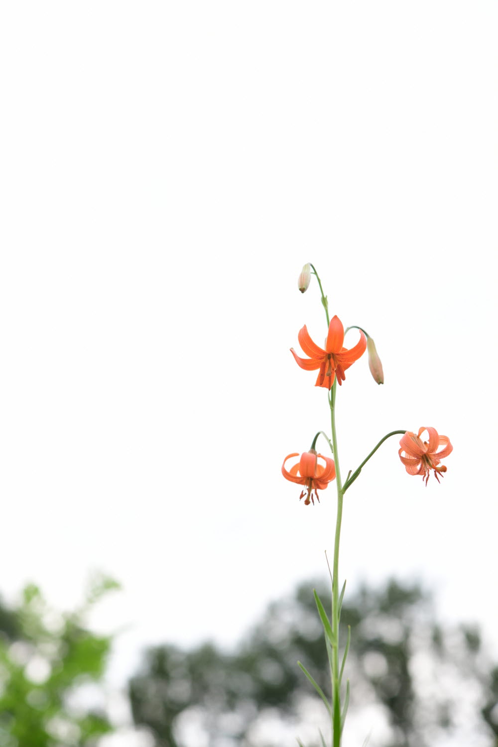 크기변환_DSC_0179.JPG