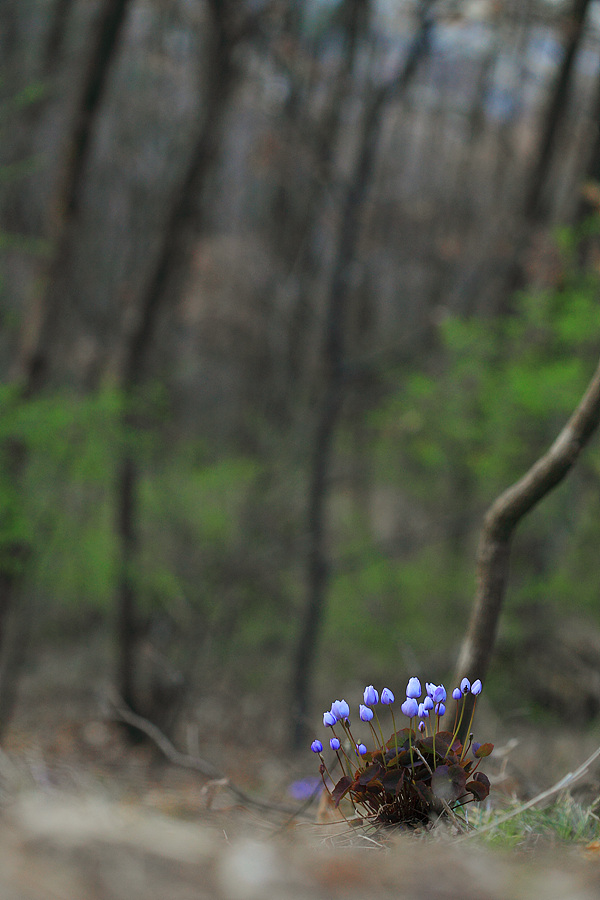 IMG_2698a.jpg