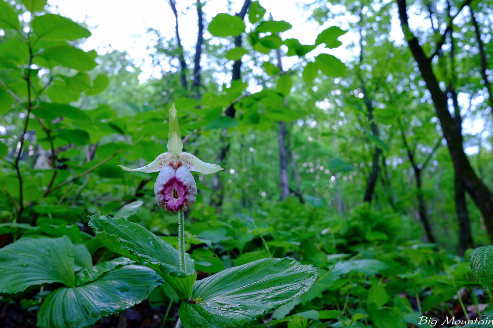 DSCF2917.jpg
