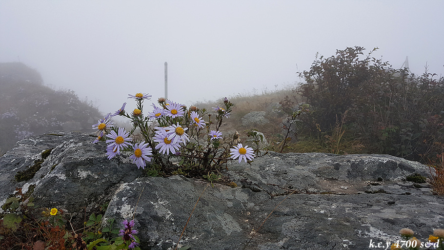 20170924_071309[1].jpg