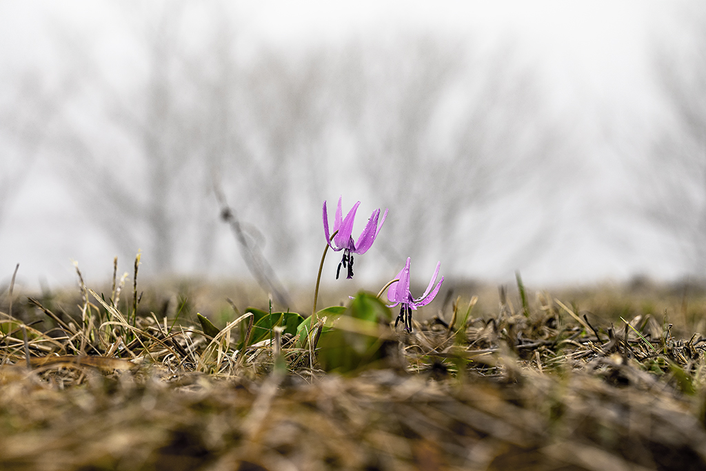 5A7A2918.psd-1.jpg