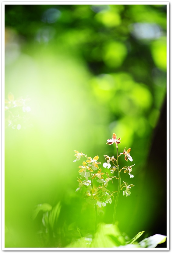 DSC_8122-1.jpg