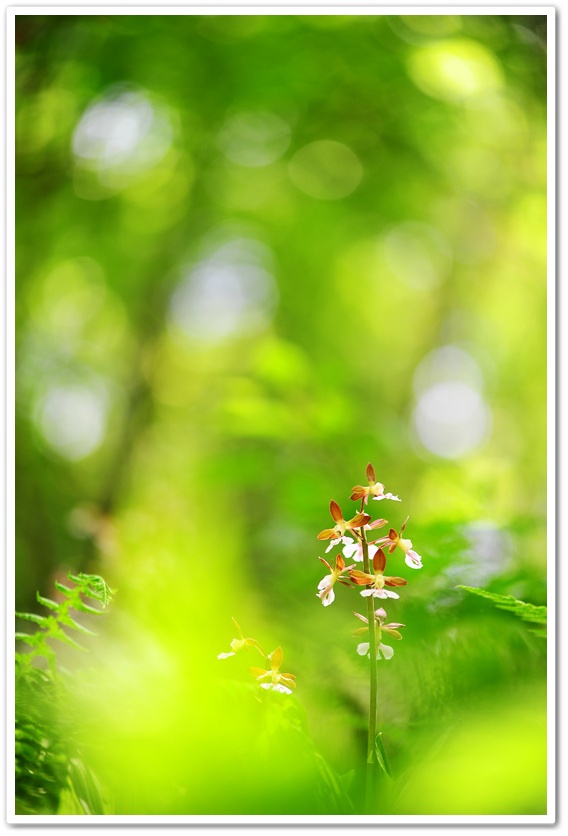 DSC_8024-1.jpg