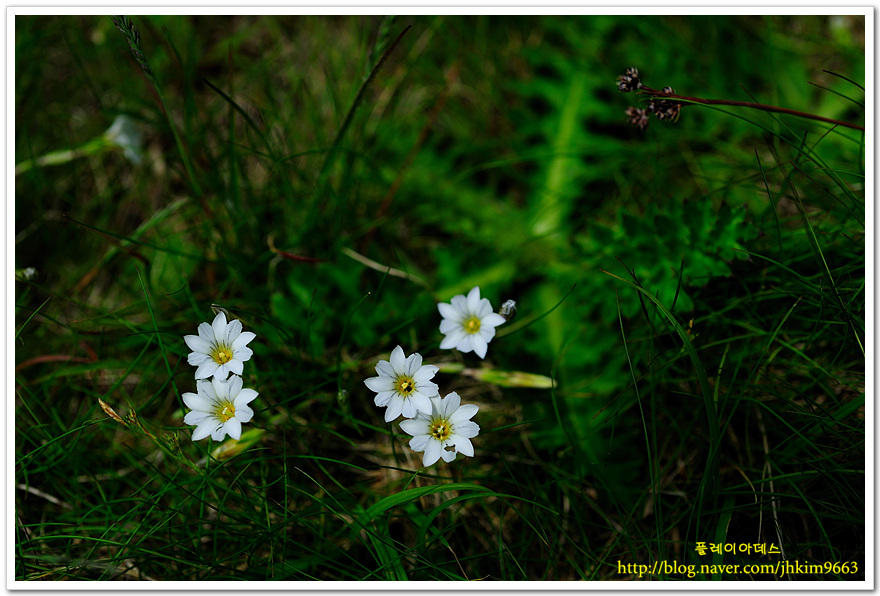 DSC_4303.jpg