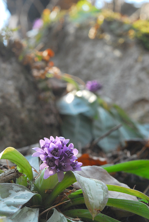 1-DSC_1598.jpg