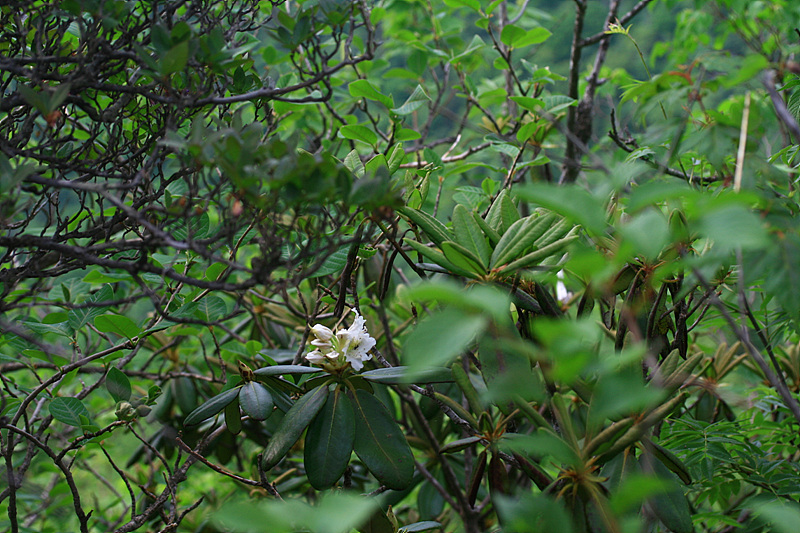 2010.06.02 405.jpg