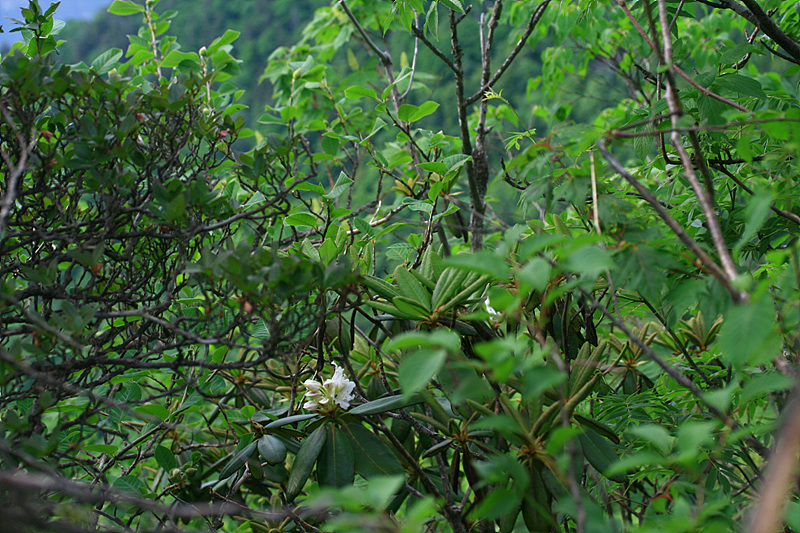2010.06.02 404.jpg
