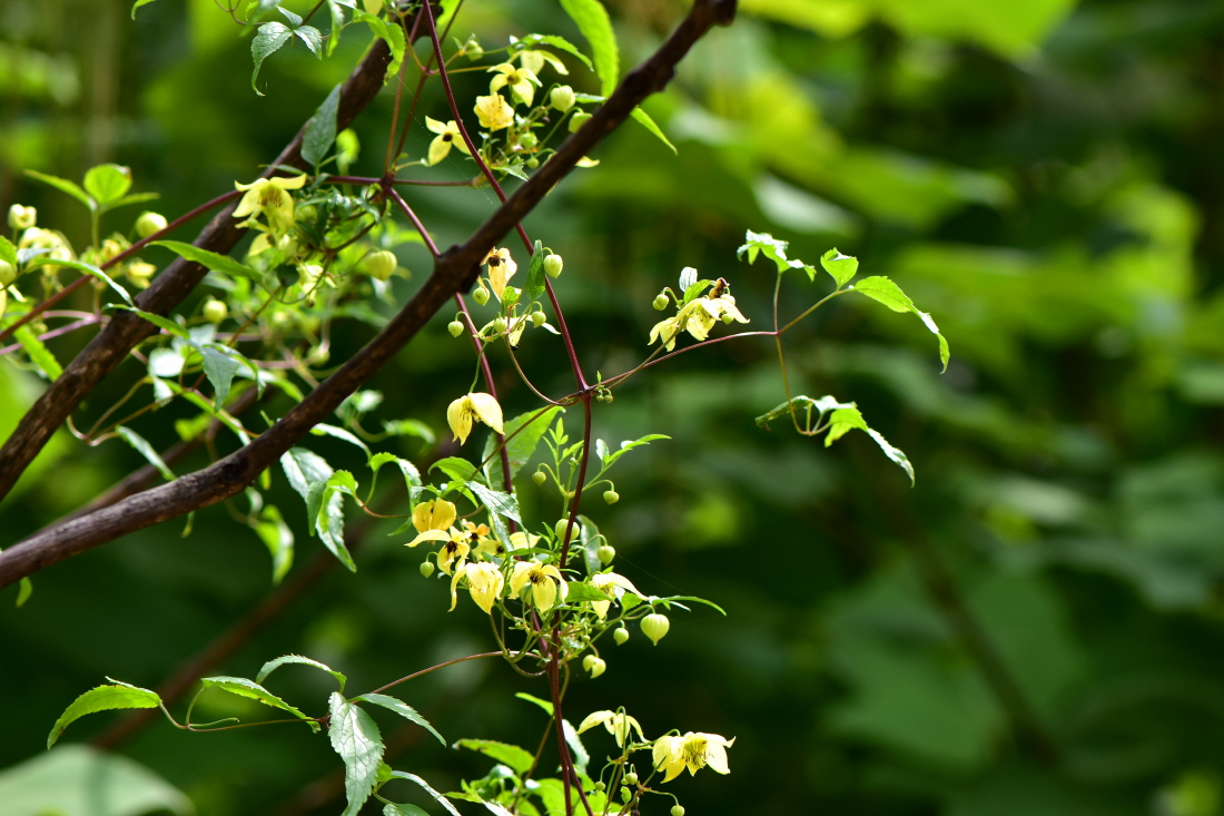 DSC_8451.JPG