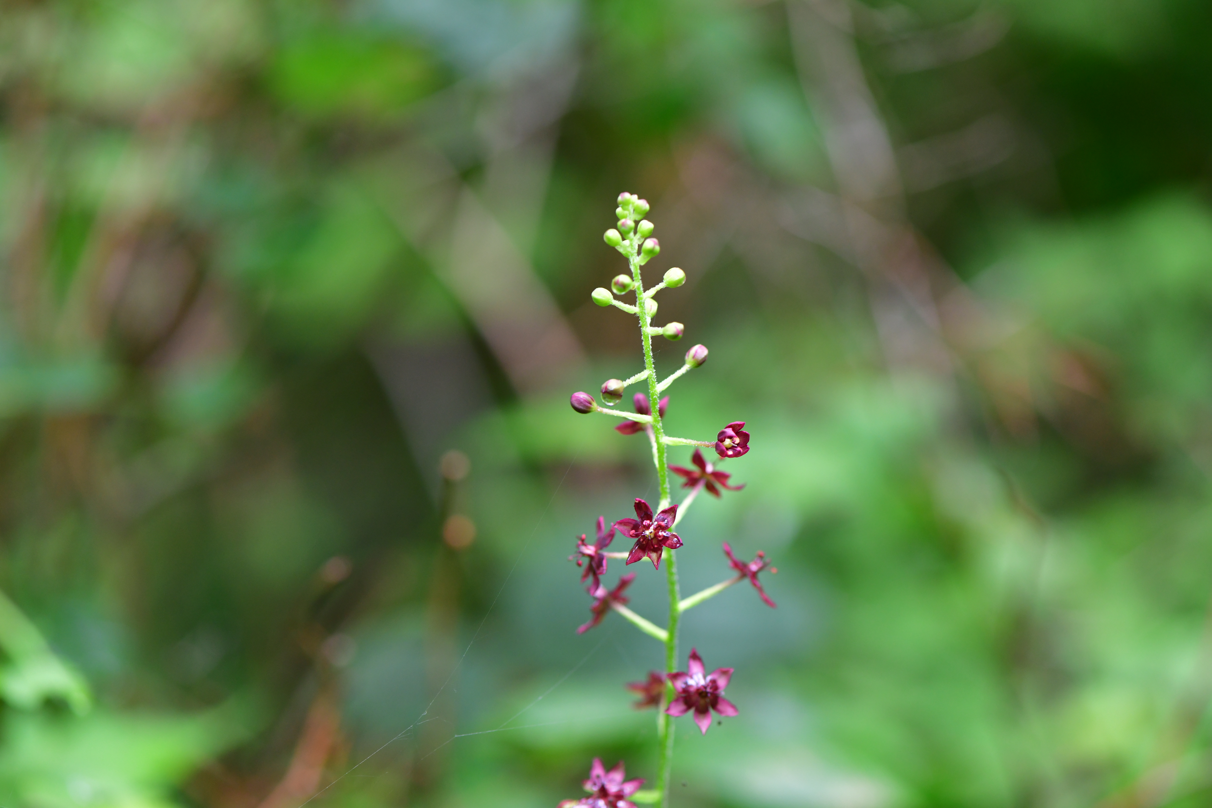 DSC_1940.JPG