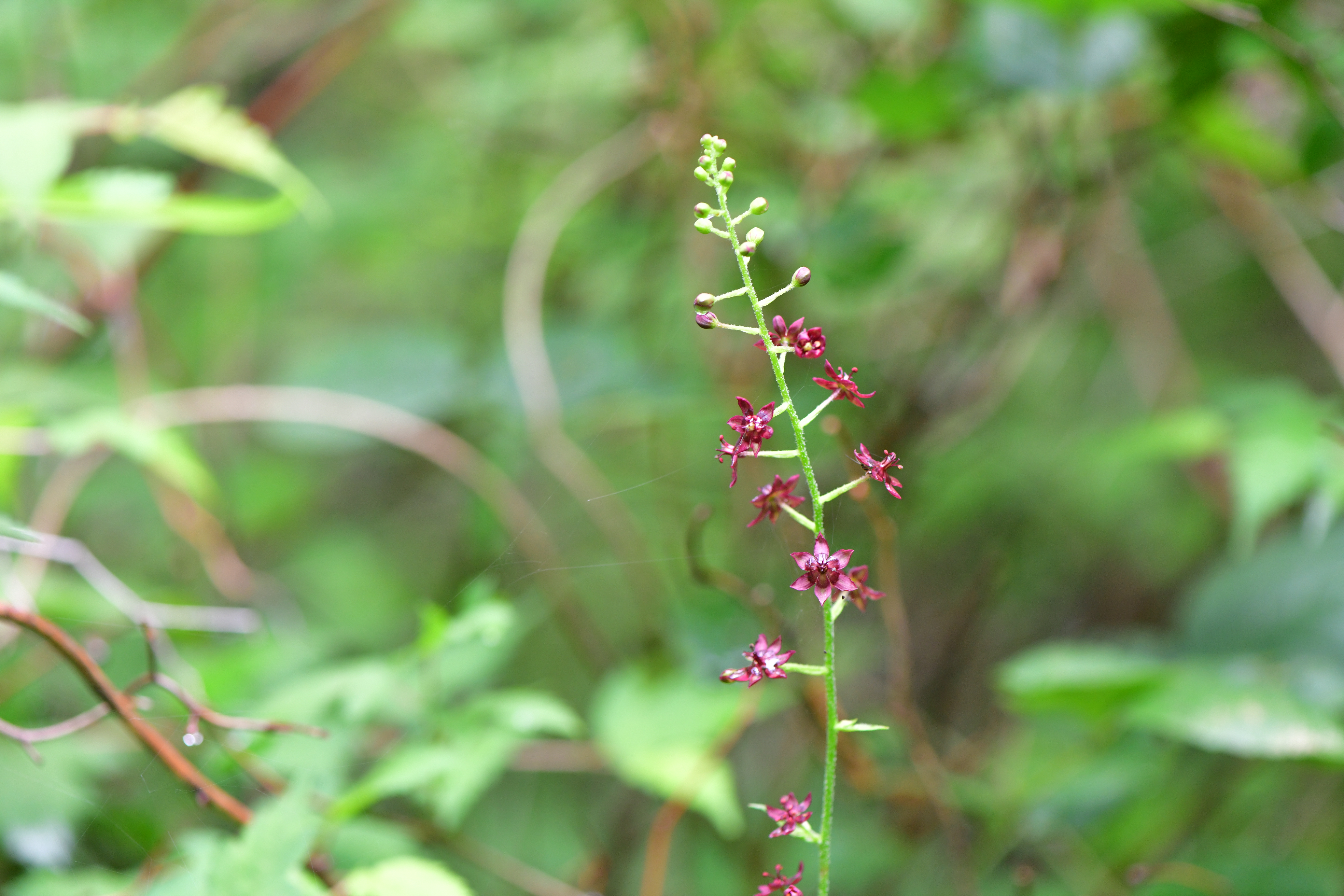 DSC_1939.JPG