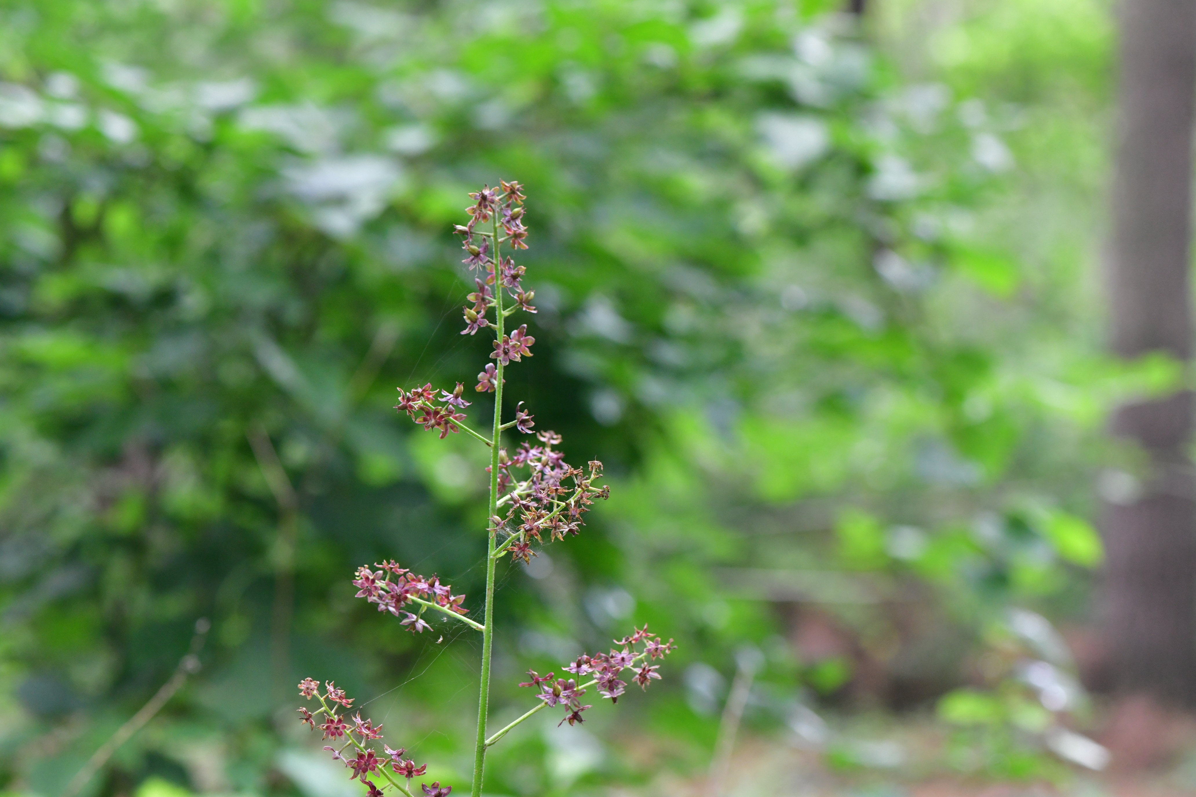 DSC_1959.JPG