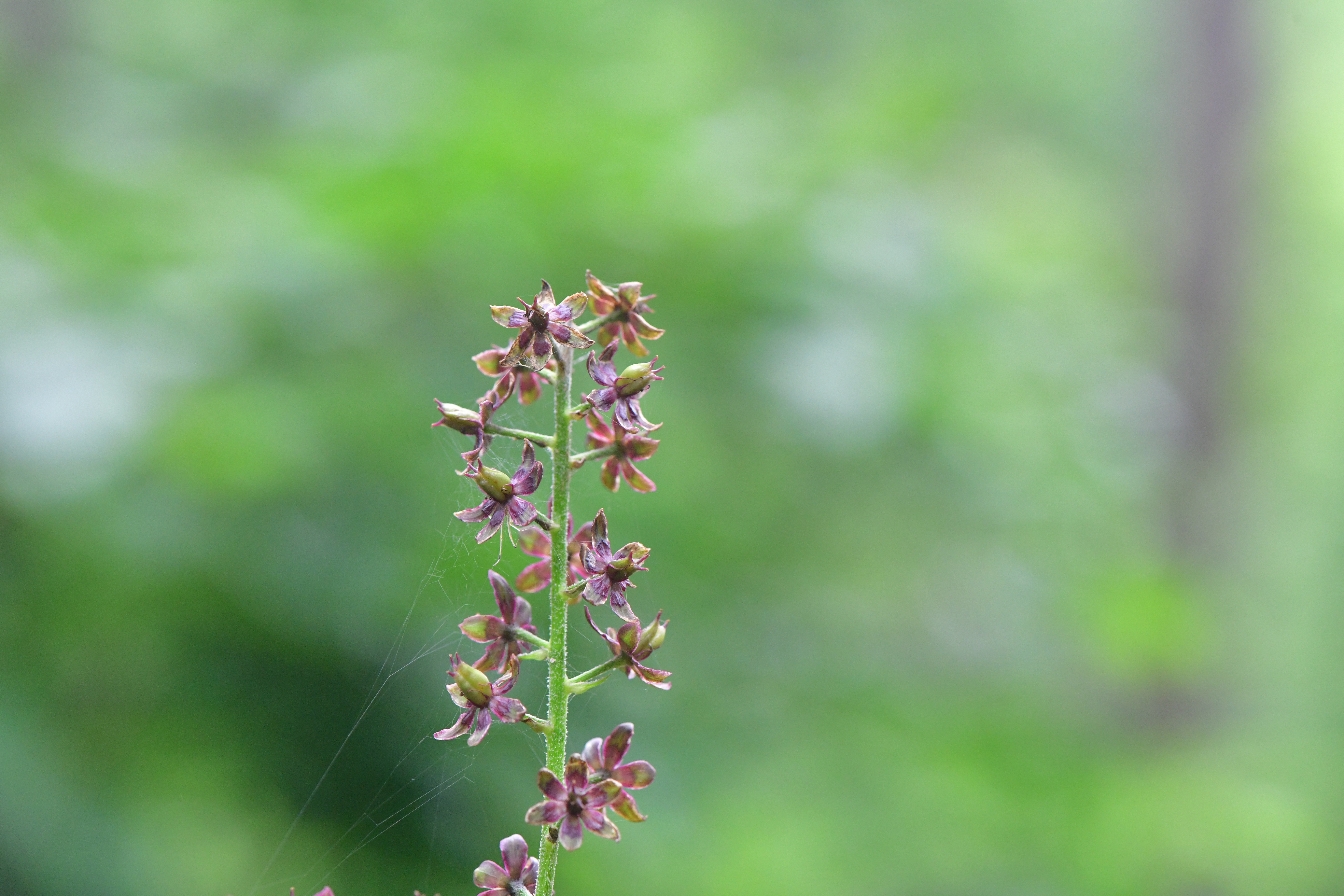 DSC_1963.JPG