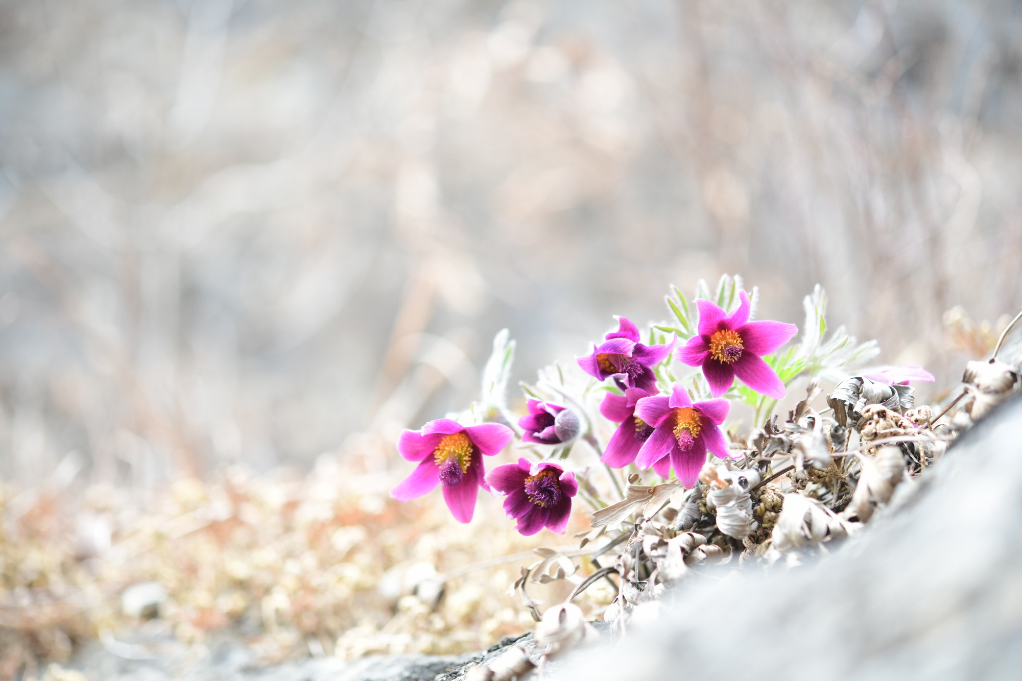 크기변환_DSC_0841.JPG