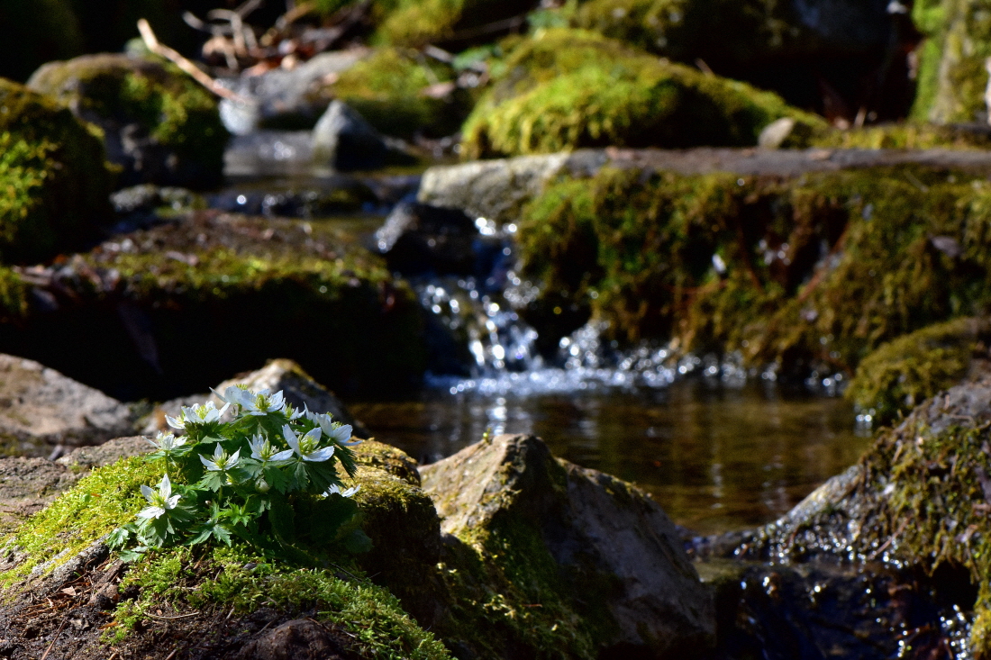 DSC_7875.JPG