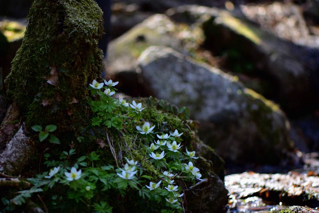 DSC_7835.JPG