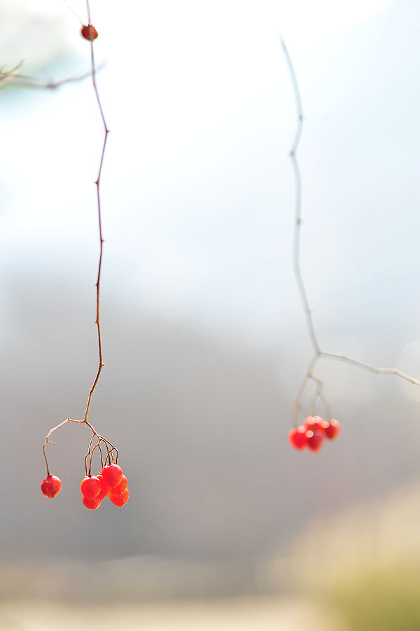 20111127_0251-1.jpg