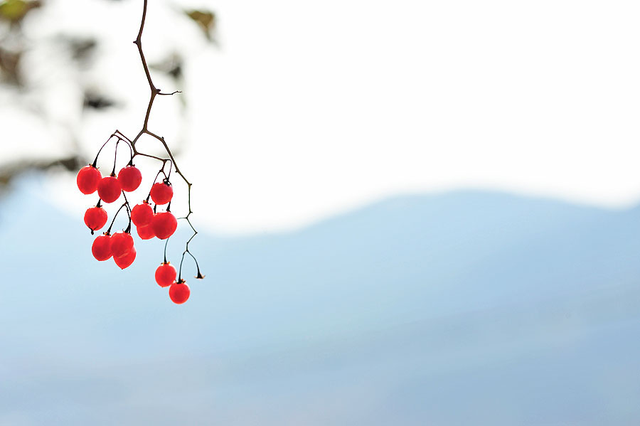 20111127_0243-1.jpg