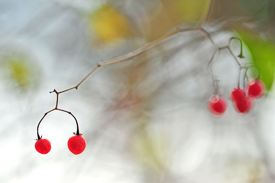 20111127_0145-1.jpg