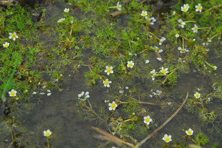 1-DSC_5745.jpg