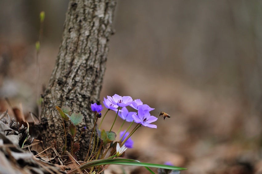 DSC_0456900.jpg