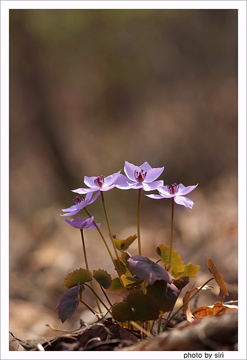 DSCF2253.jpg