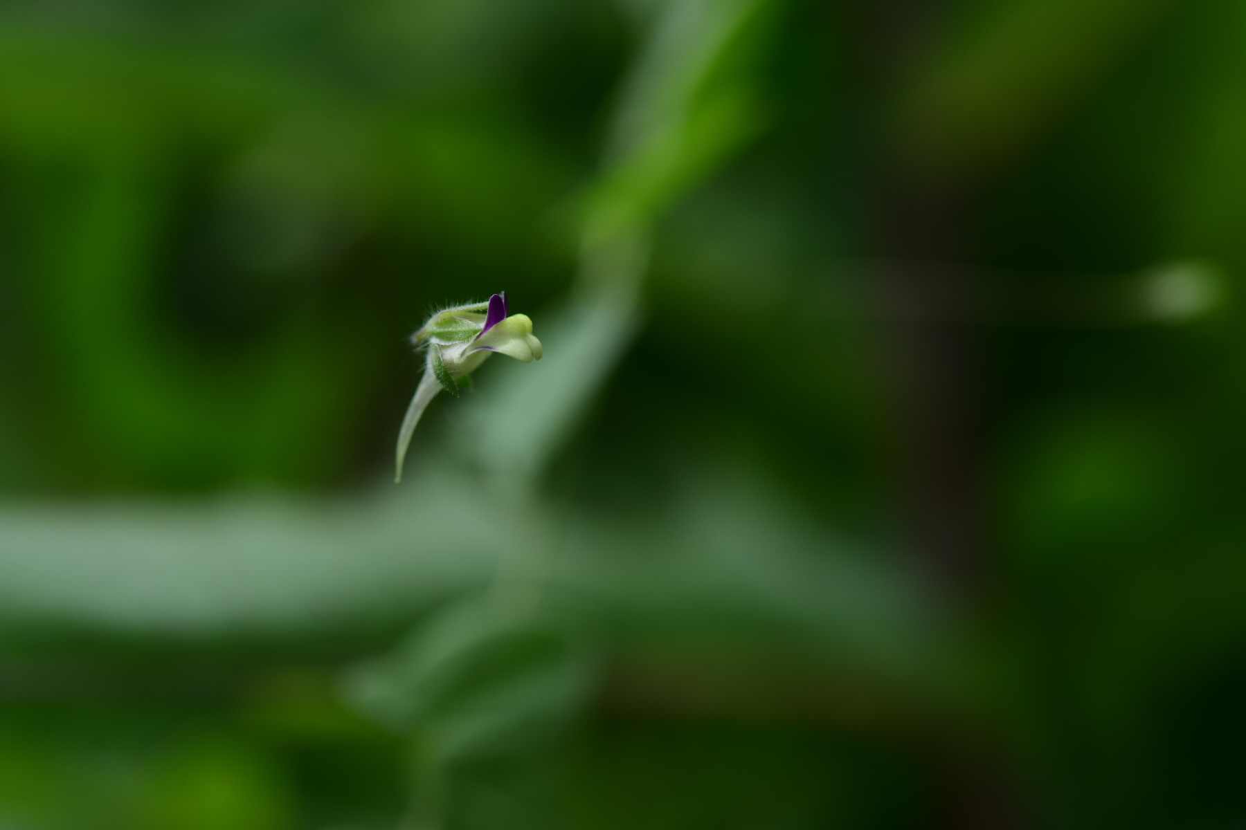 크기변환_DSC_2754.JPG