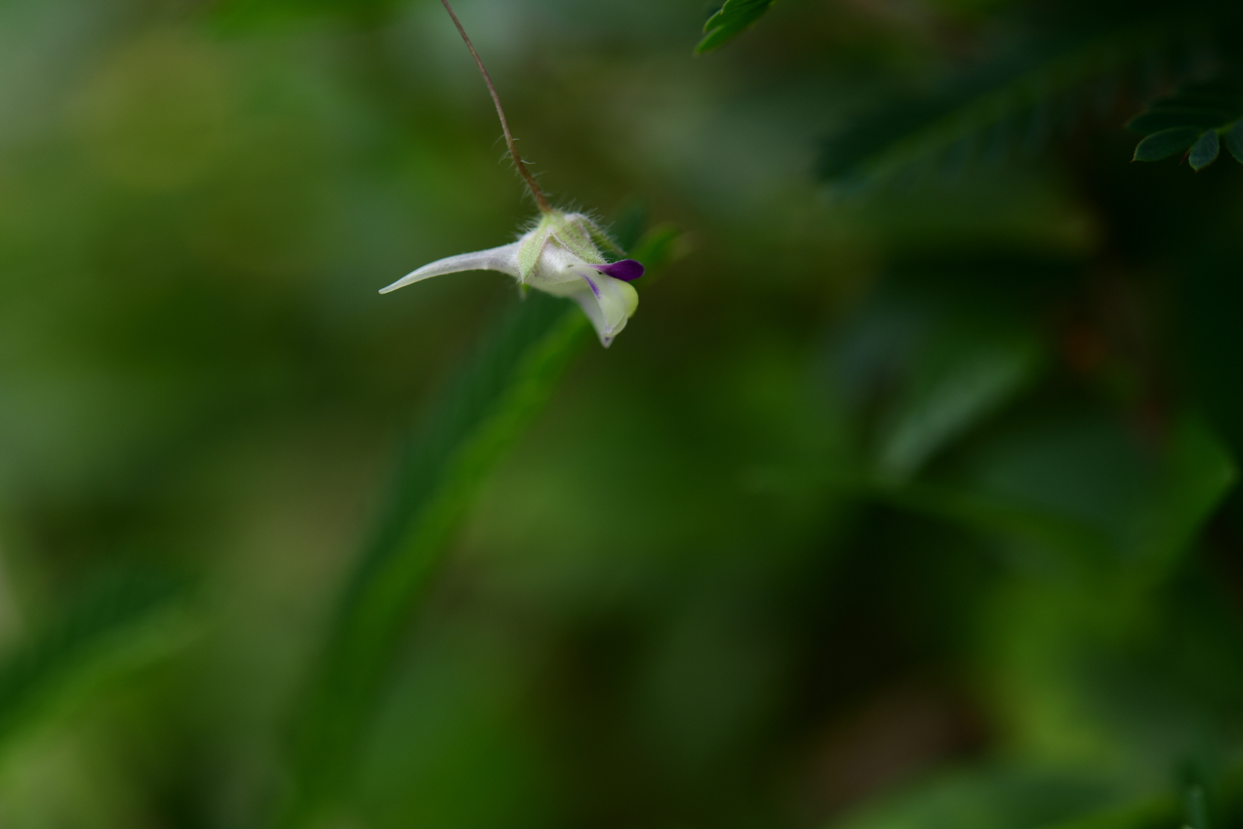 크기변환_DSC_2713.JPG