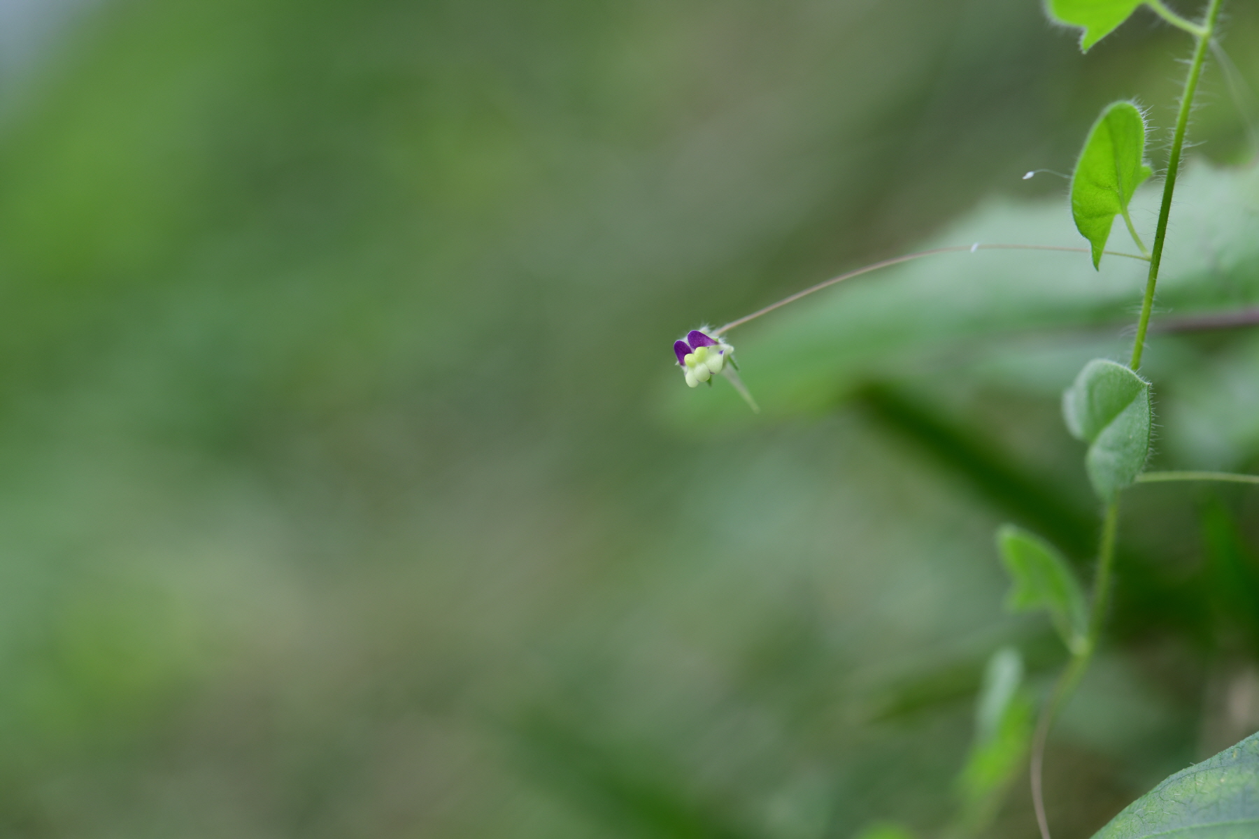 크기변환_DSC_2743.JPG