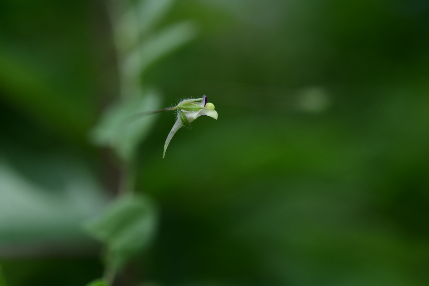 크기변환_DSC_2737.JPG