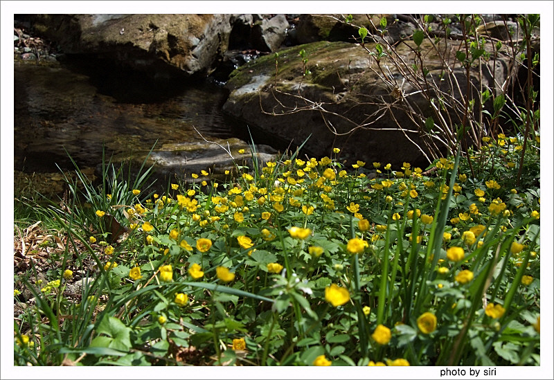 DSCF2826.JPG