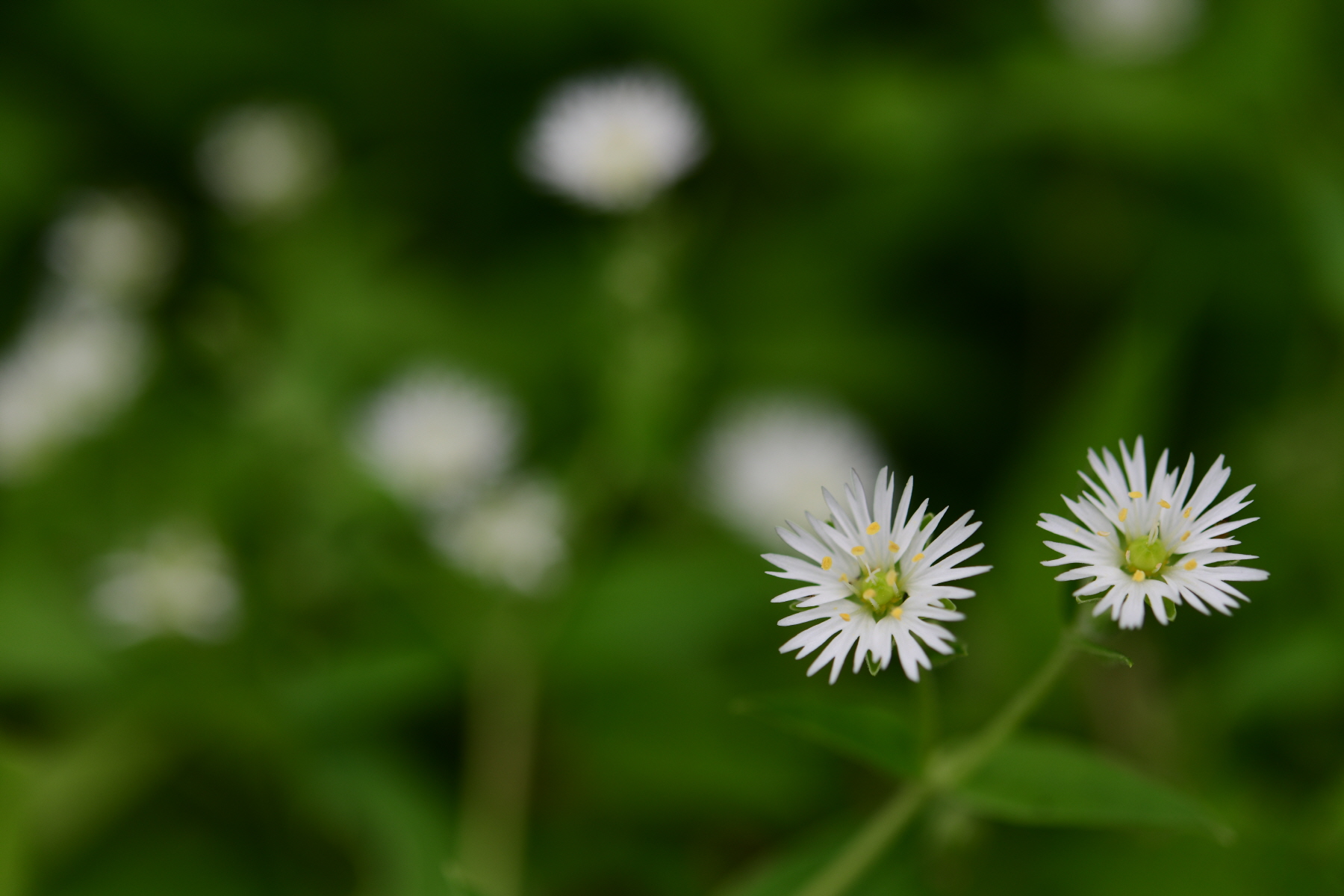 크기변환_DSC_2791.JPG
