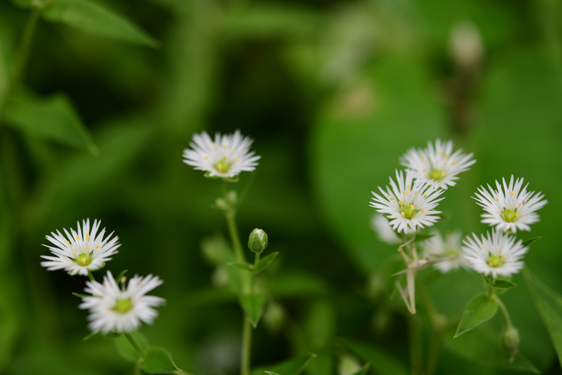 크기변환_DSC_2784.JPG