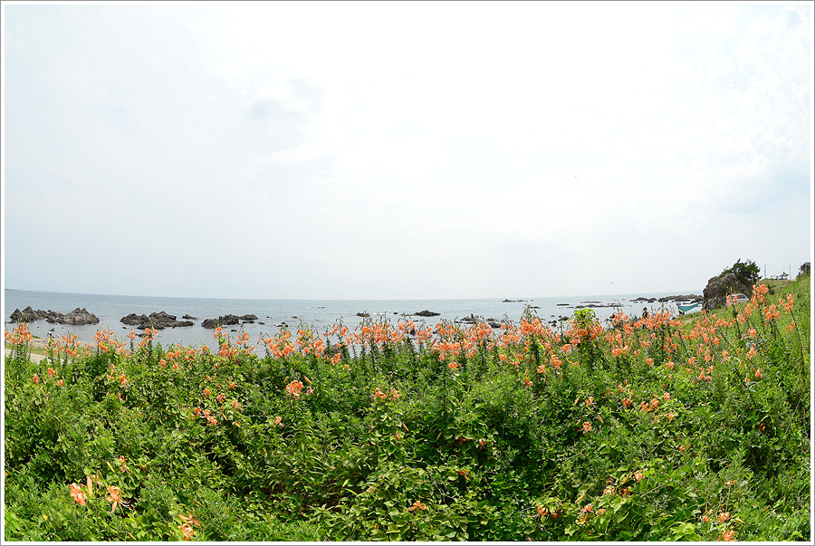 DSC_1600.jpg