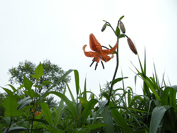 사진 036.jpg