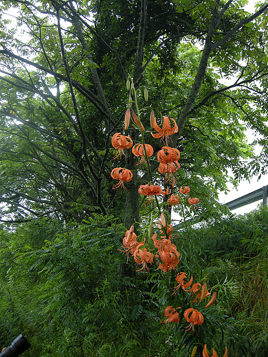 사진 086.jpg